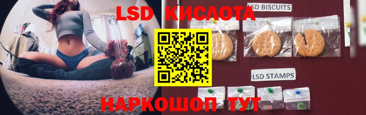 Электрогорск  ЛСД экстази кислота  LSD-25 экстази кислота  Вход с VPN 
