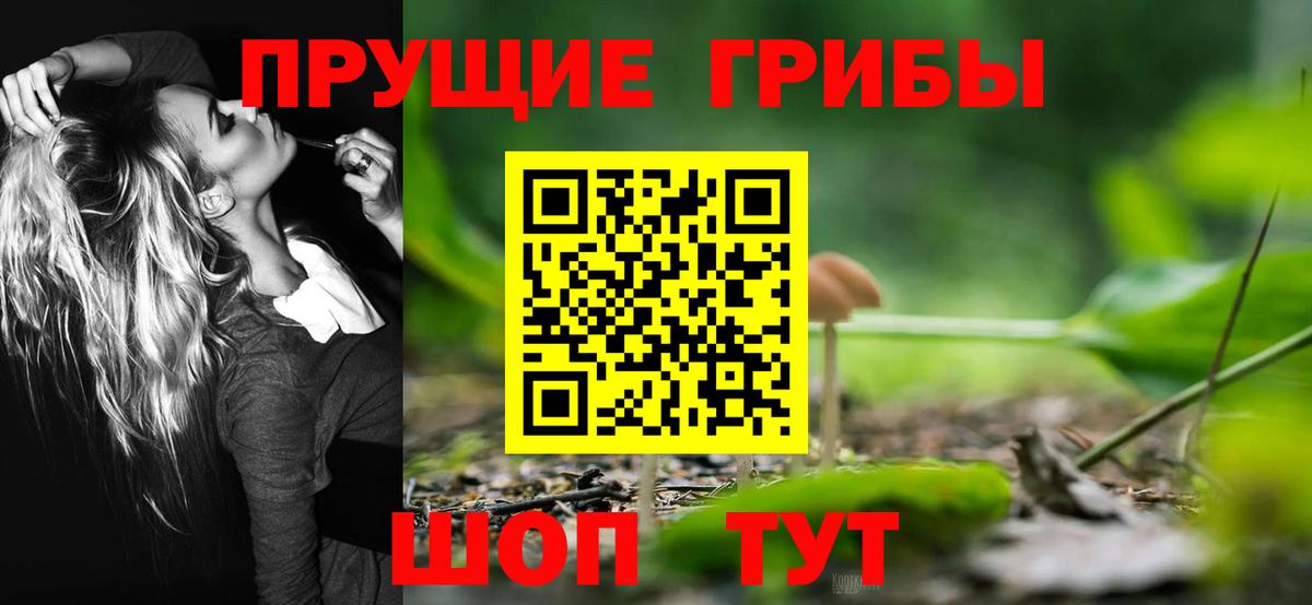 Псилоцибиновые грибы мухоморы Электрогорск