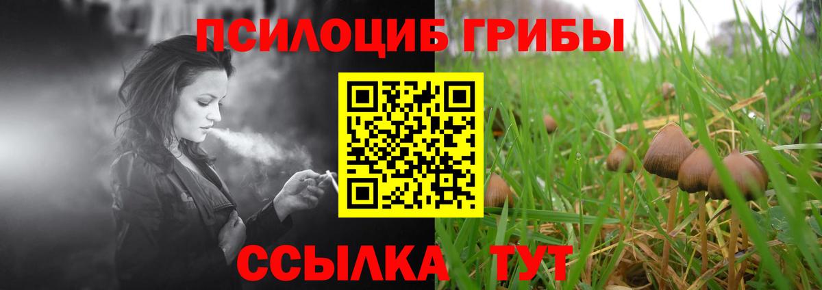 Электрогорск  Галлюциногенные грибы прущие грибы  Вход с VPN 